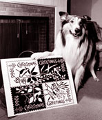 Lassie